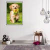 Dog - Full Round Diamond - 30x40cm