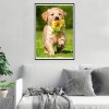 Dog - Full Round Diamond - 30x40cm