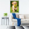 Dog - Full Round Diamond - 30x40cm