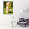 Dog - Full Round Diamond - 30x40cm
