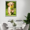 Dog - Full Round Diamond - 30x40cm