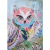 Owl  - Full Square Diamond - 40x30cm