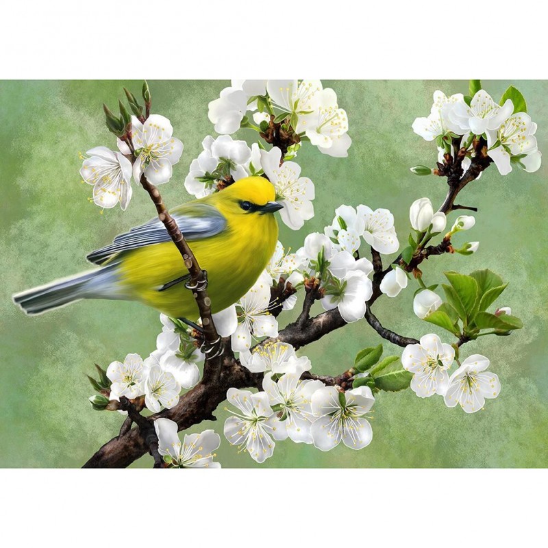 White Plum Blossom -...