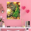 Amazing Characters - Full Round Diamond - 40x50cm