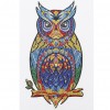 Owl Bird - Special Shaped Diamond - 30x40cm