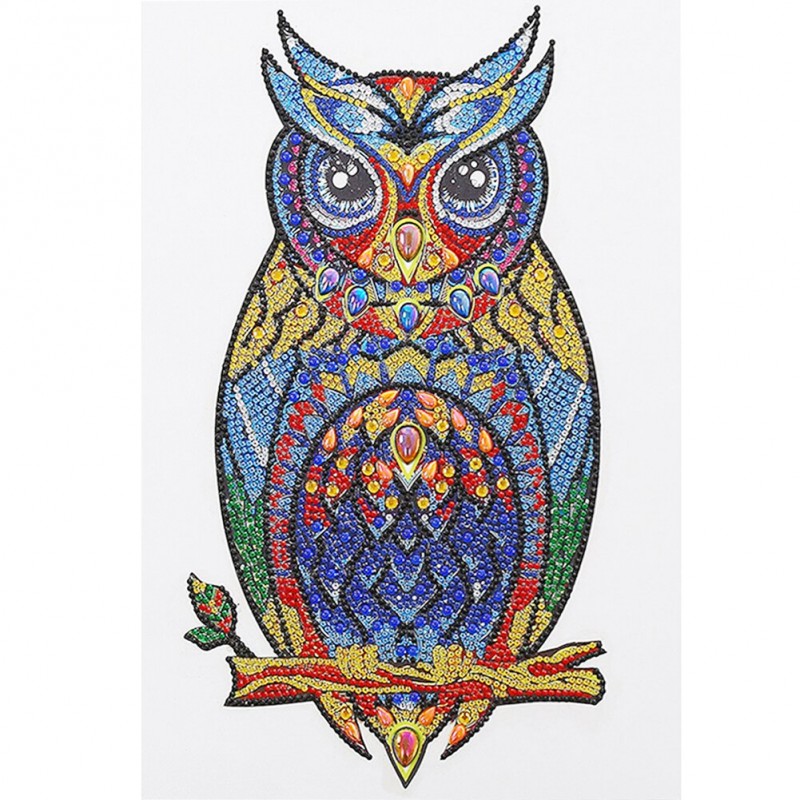 Owl Bird - Special S...