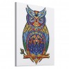 Owl Bird - Special Shaped Diamond - 30x40cm