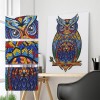 Owl Bird - Special Shaped Diamond - 30x40cm