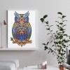 Owl Bird - Special Shaped Diamond - 30x40cm