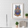 Owl Bird - Special Shaped Diamond - 30x40cm