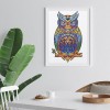 Owl Bird - Special Shaped Diamond - 30x40cm
