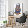 Owl Bird - Special Shaped Diamond - 30x40cm