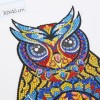 Owl Bird - Special Shaped Diamond - 30x40cm