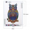 Owl Bird - Special Shaped Diamond - 30x40cm