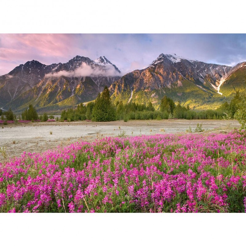 Ocean Of Flowers - F...