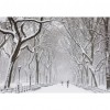 Snow - Full Round Diamond - 40x30cm