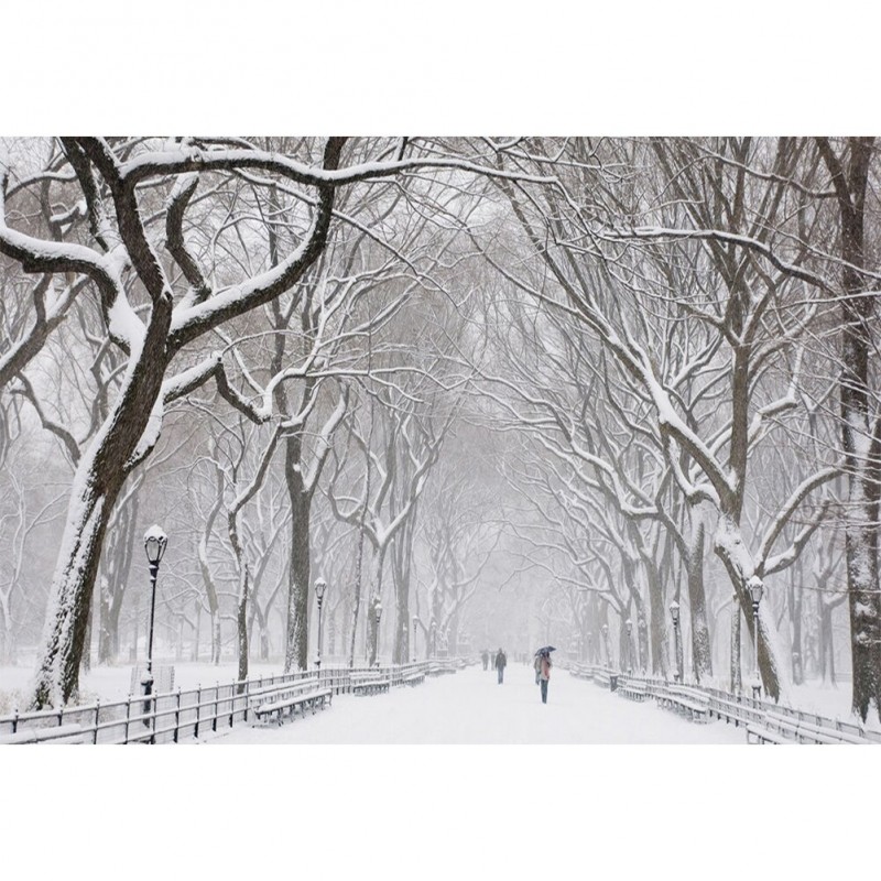 Snow - Full Round Di...
