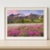Ocean Of Flowers - Full Round Diamond - 40x30cm