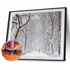 Snow - Full Round Diamond - 40x30cm