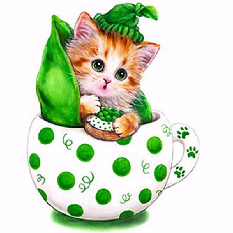 Kitten Animal - Full...