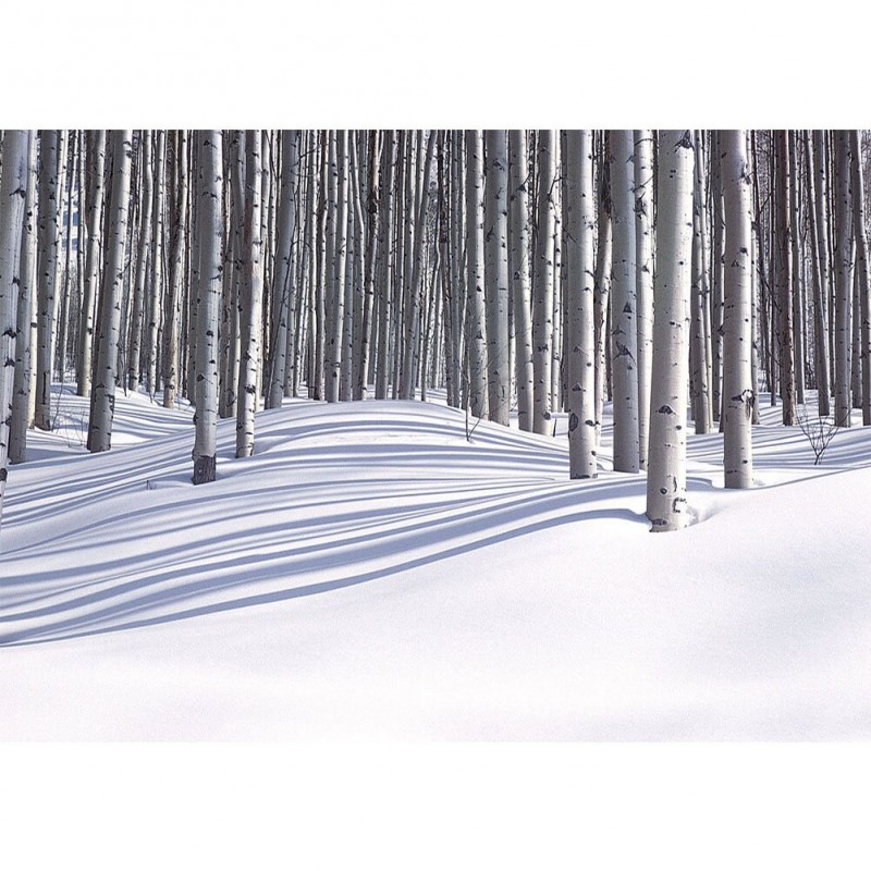 Snow - Full Round Di...