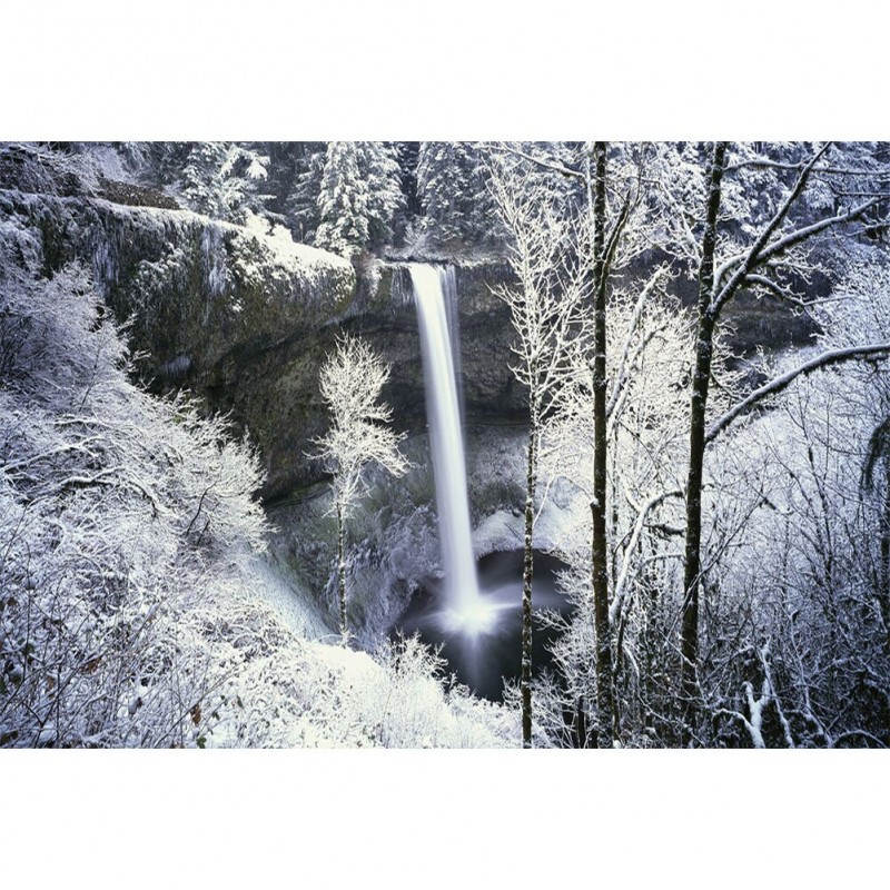 Snow - Full Round Di...