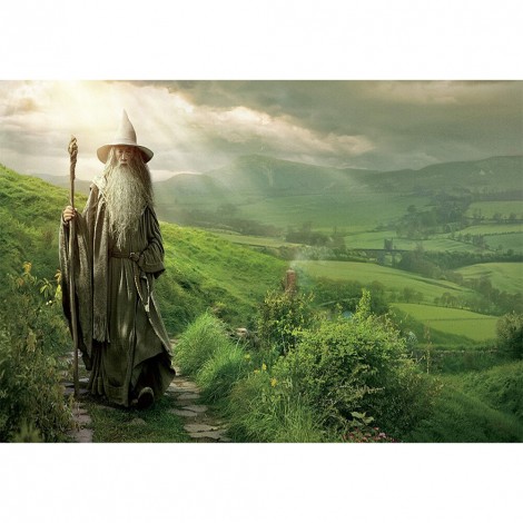 Old Man Wizard - Full Round Diamond - 45x30cm