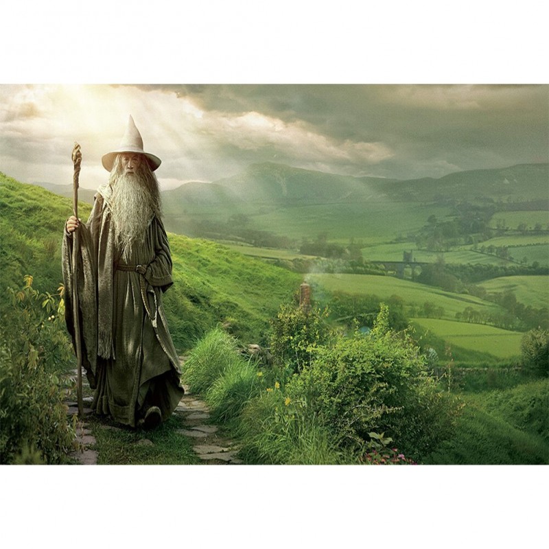 Old Man Wizard - Ful...