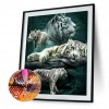 Forest Tigers - Full Round Diamond - 40x50cm