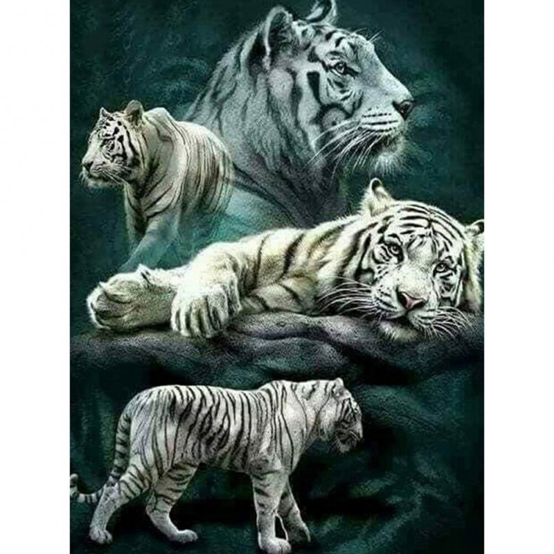 Forest Tigers - Full...