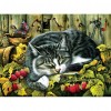 Animal  - Full Round Diamond - 40x30cm