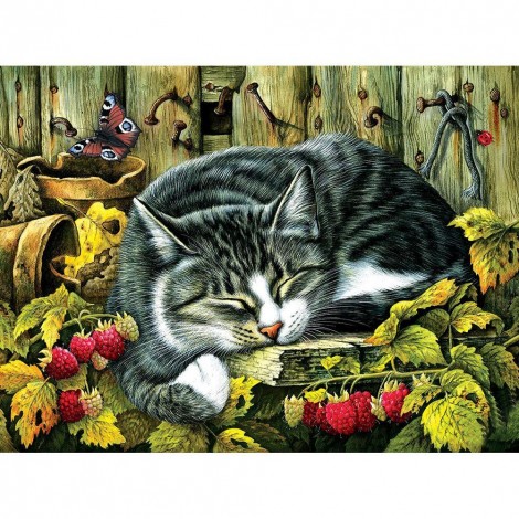 Animal  - Full Round Diamond - 40x30cm