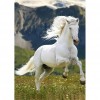 Horse - Full Round Diamond - 30*40cm