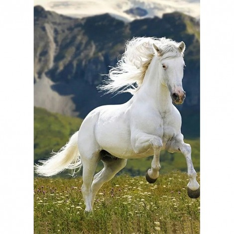 Horse - Full Round Diamond - 30*40cm