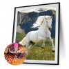 Horse - Full Round Diamond - 30*40cm