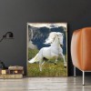 Horse - Full Round Diamond - 30*40cm