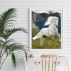 Horse - Full Round Diamond - 30*40cm