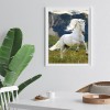 Horse - Full Round Diamond - 30*40cm