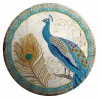 Iron Sheet DIY Special Shaped Diamond Painting Blue Peafowl Tin Kit (TPH10)