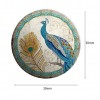 Iron Sheet DIY Special Shaped Diamond Painting Blue Peafowl Tin Kit (TPH10)