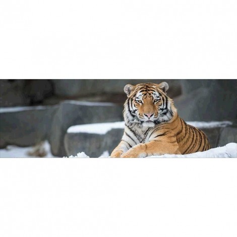 Tiger Animal Kid - Full Round Diamond - 80x30cm