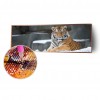 Tiger Animal Kid - Full Round Diamond - 80x30cm