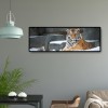 Tiger Animal Kid - Full Round Diamond - 80x30cm