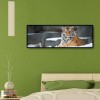 Tiger Animal Kid - Full Round Diamond - 80x30cm