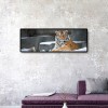 Tiger Animal Kid - Full Round Diamond - 80x30cm