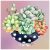 Succulent Plants-Round Diamond-30*30CM