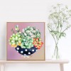 Succulent Plants-Round Diamond-30*30CM