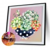 Succulent Plants-Round Diamond-30*30CM