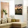 Car - Full Round Diamond - 30*40cm