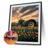 Car - Full Round Diamond - 30*40cm